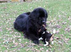 Lucy und Casper Lucy und Casper