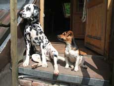 Penny und Casper Penny und Casper